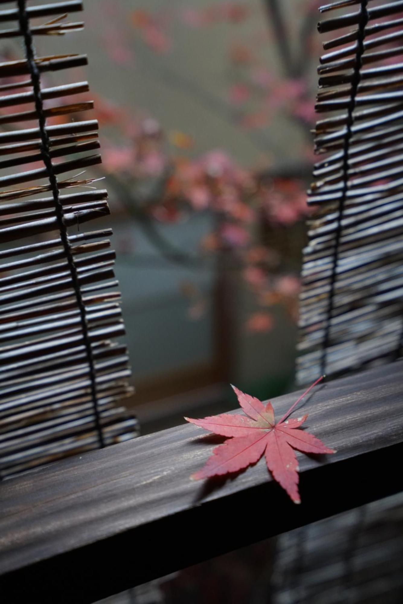 Ryokan Tori Kioto Zewnętrze zdjęcie